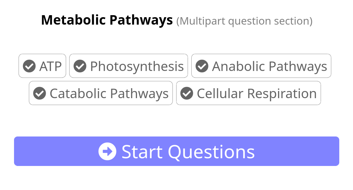 A demonstration that Revision.ai covers multiple subtopics of an example slide, and has questions about each of those subtopics. You can navigate between the subtopics via links above the question you are currently focused on, so you can always switch to studying a relevant sub topic for you.